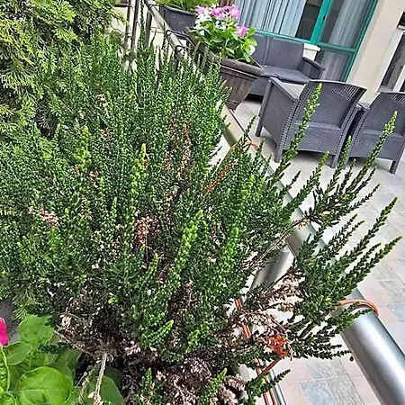 Апартхотел брайт хаус Пловдив