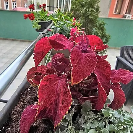 Апартхотел брайт хаус
